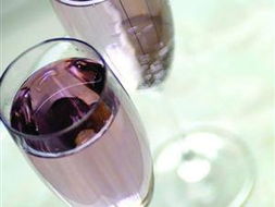 黔東南州望蘭山藍(lán)莓有限責(zé)任公司